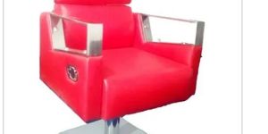 Beauty Parlour Chair