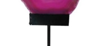 Agate Pink Costar with Stend