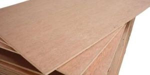 Commercial Plywood