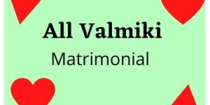 Valmiki Match Making Services
