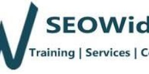 Digital Marketing and Training Institute