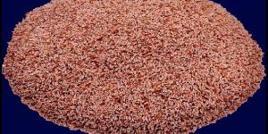 Psyllium Seeds