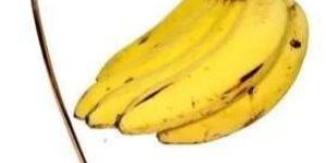 Fruit Hanging Basket