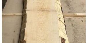 White Maple Wood