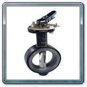 Butterfly Valve Wafer