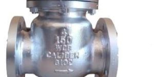 Swing Check Valve