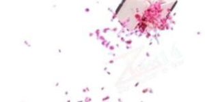 Flower Dropping DRONE