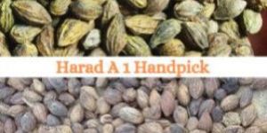 Harad Terminalia Chebula