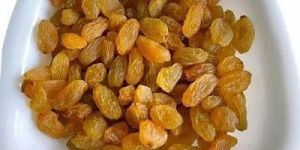 Indian Golden Raisin