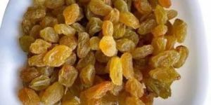 Natural Golden Raisin