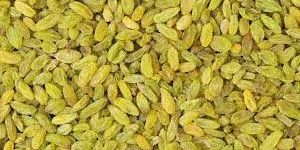Organic Green Raisin