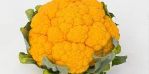 Coloured Cauliflower