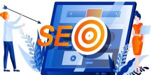 SEO ( Search Engine Optimization )