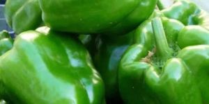 Green Capsicum