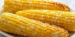 Organic Sweet Corn