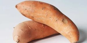 Sweet Potato