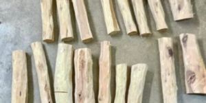 White Sandalwood Logs