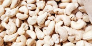Cashew Nut w320