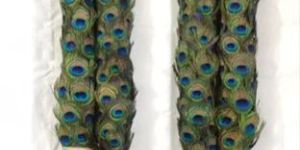 2 Feet Peacock Feather Wedding Garland