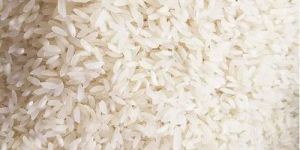 Ponni Raw Rice