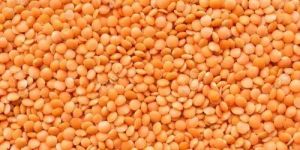 Skinless Masoor Dal