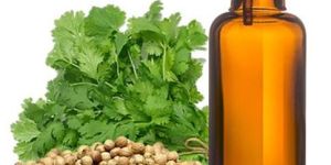 Coriander Oil
