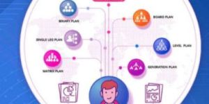 Mlm Software Services