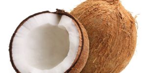 Semi Husked Coconuts