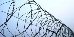 Stainless Steel Concertina Barbed Wire