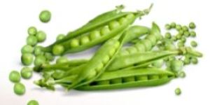 Fresh Peas
