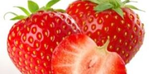 Fresh Strawberry