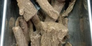 Dried Indian Costus Root