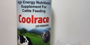 Coolrace Cattle Feed Supplement