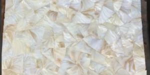Mother of Pearl Tile