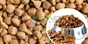 Dog Food