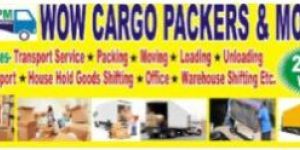 Packer Movers Service