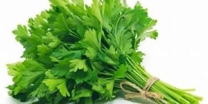 Fresh Parsley