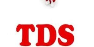 TDS Return Filing Service