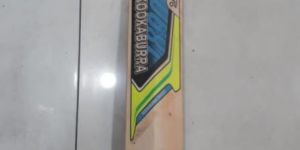 Cricket Bat