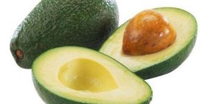 Fresh Avocado