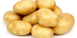 Fresh Potato
