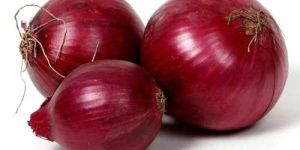 Fresh Red Onion