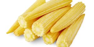 Frozen Baby Corn