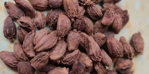 Black Cardamom