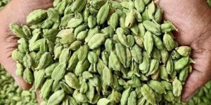 Green Cardamom
