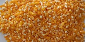 Yellow Maize Seeds