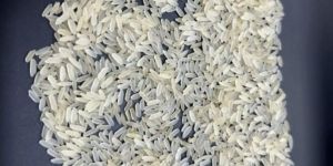 IR 64 Raw Rice