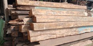 Teak Wood