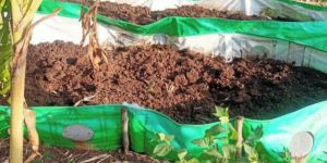 Vermicompost Fertilizer