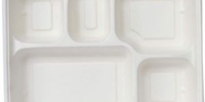 Bagasse Square Partition Plate